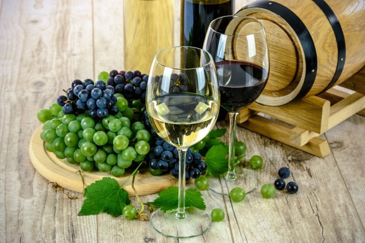 wines-1761613_1280 castelli romani