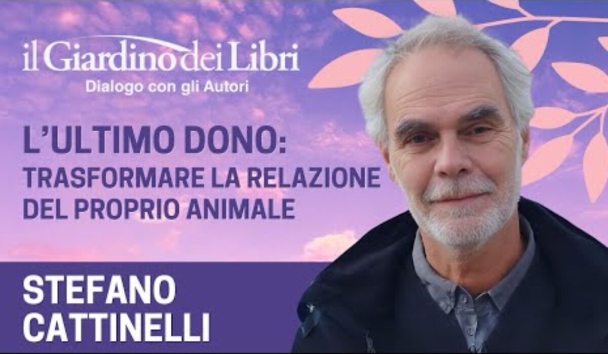 stefano cattinelli