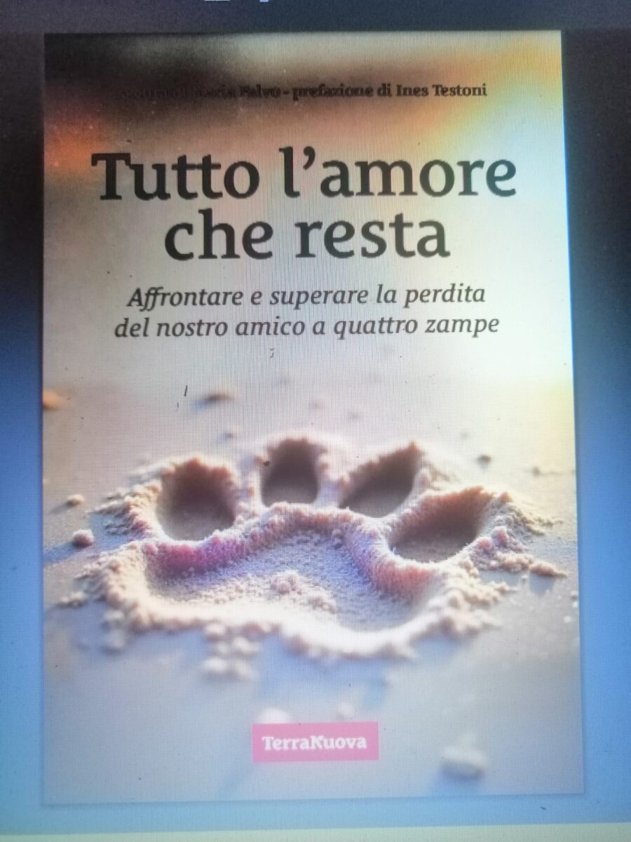 stefano cattinelli
