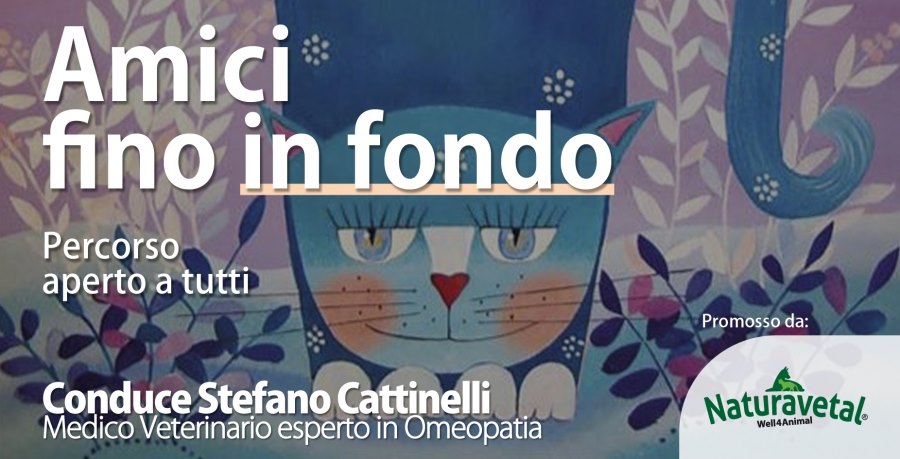 stefano cattinelli