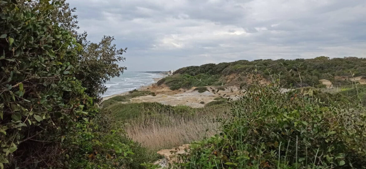 CASTELLI ROMANI TOR CALDARA