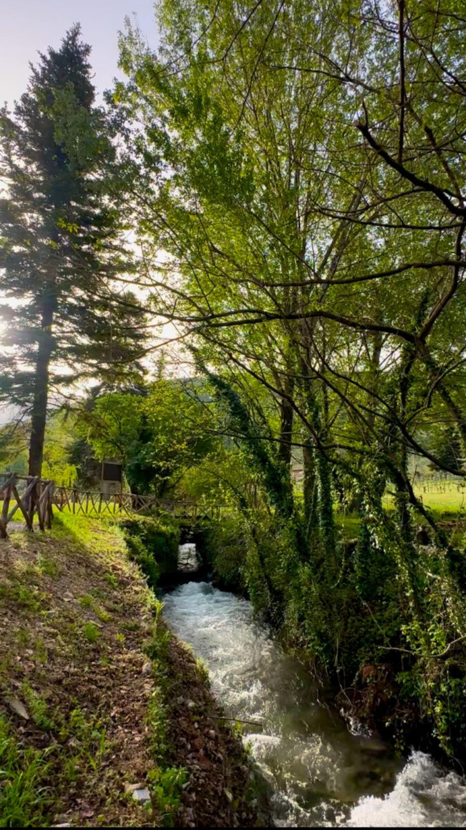UMBRIA