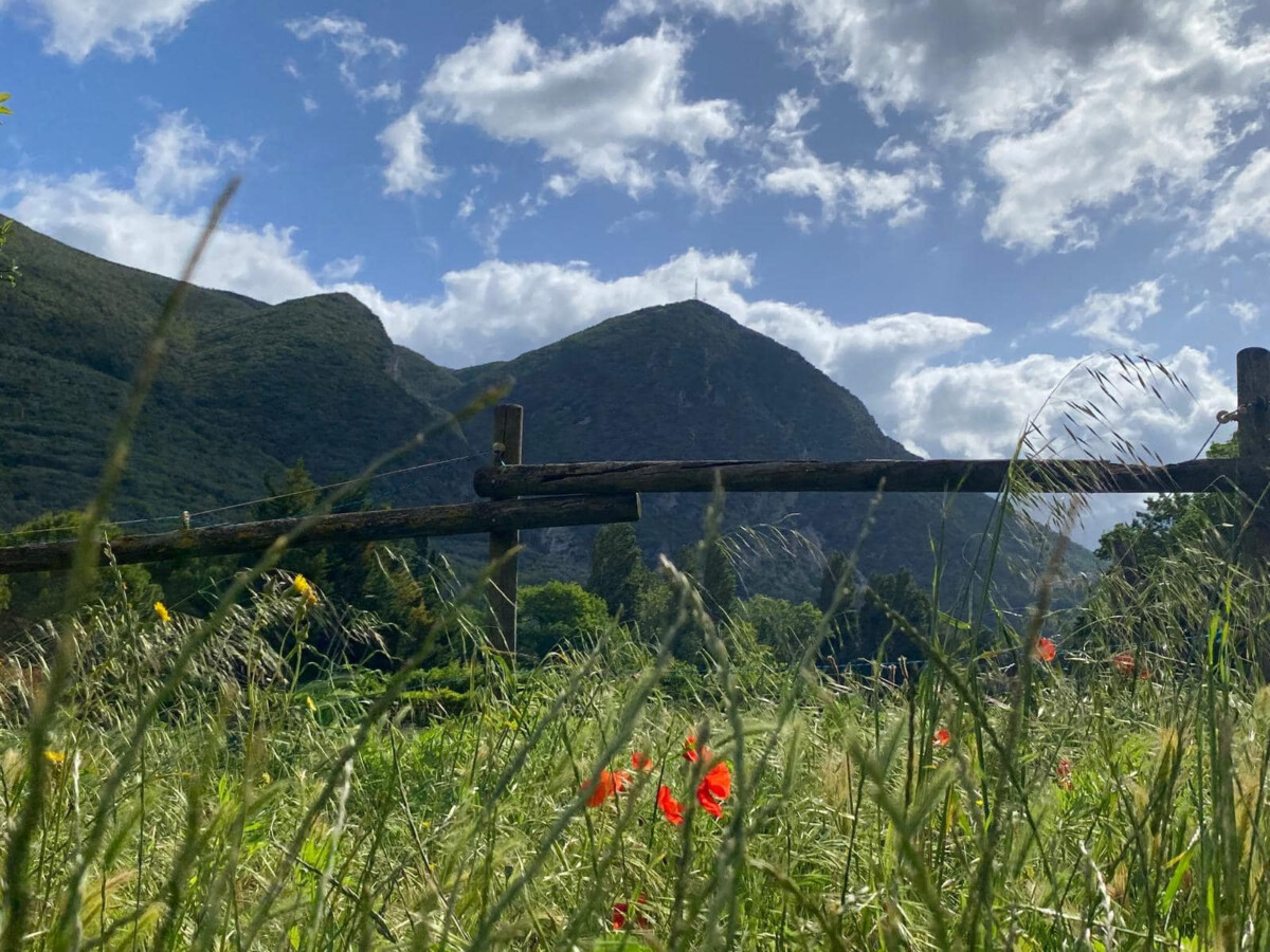 UMBRIA