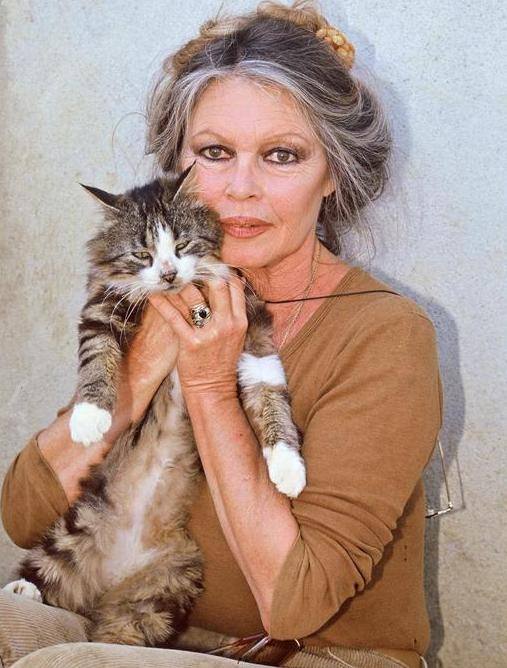 brigitte bardot roma
