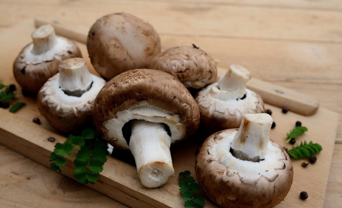 mushrooms-8618283_1280 parco