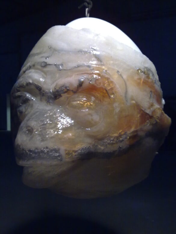 Uovo cosmico (2) roma