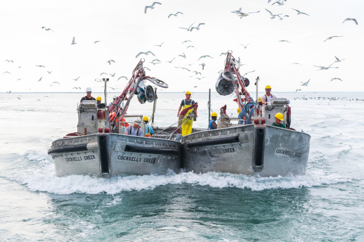 pesca